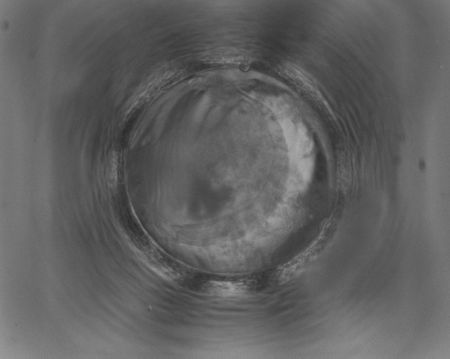 X0000067340167200604131734