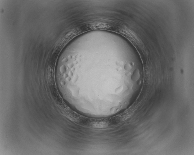 X0000067340169200604131734