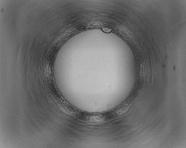 X0000067340173200604131735