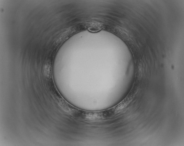 X0000067340177200604131735