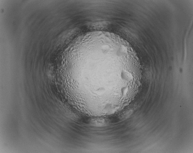 X0000067340181200604131735