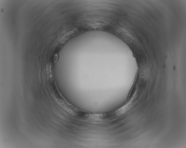 X0000067340182200604131735