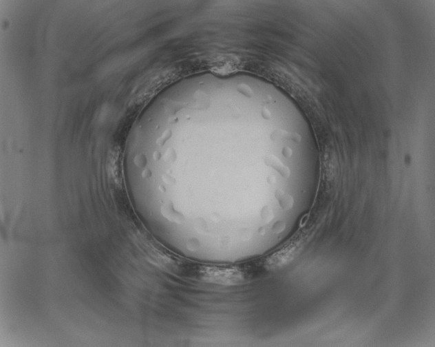 X0000067340185200604131735