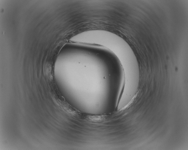 X0000067340187200604131735