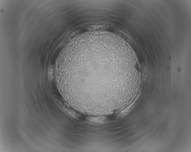 X0000067340191200604131735