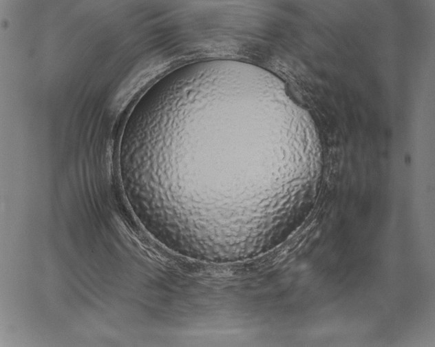 X0000067340194200604131734
