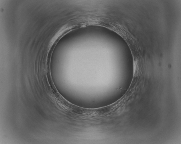 X0000067340195200604131734