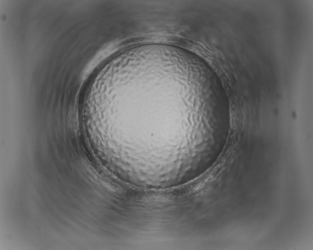 X0000067340198200604131734