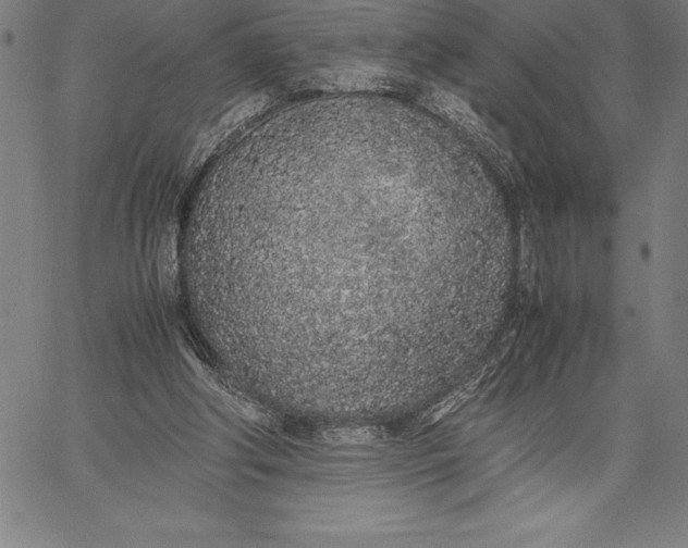 X0000067340202200604131734