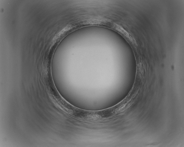 X0000067340203200604131734