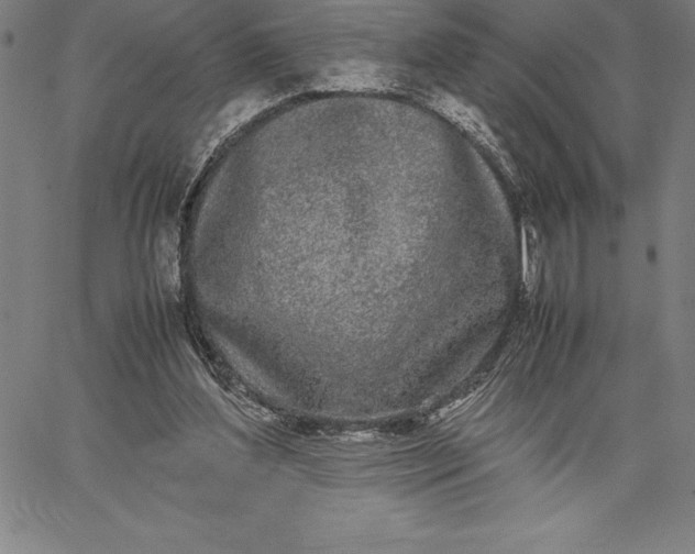 X0000067340204200604131734