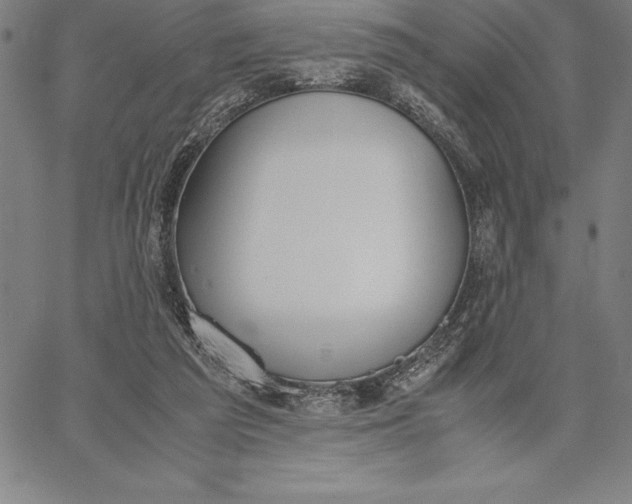 X0000067340209200604131734