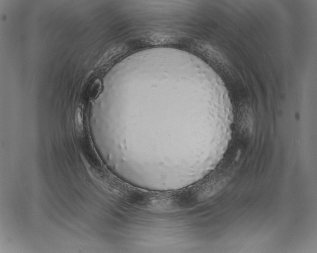 X0000067340214200604131734