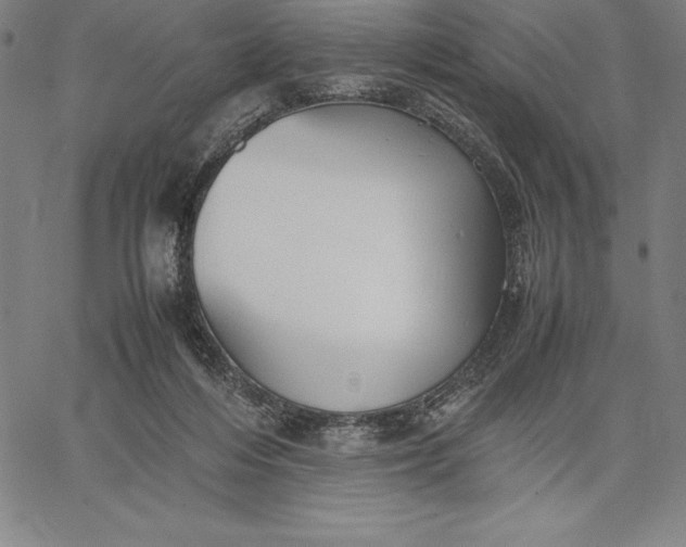 X0000067340216200604131734