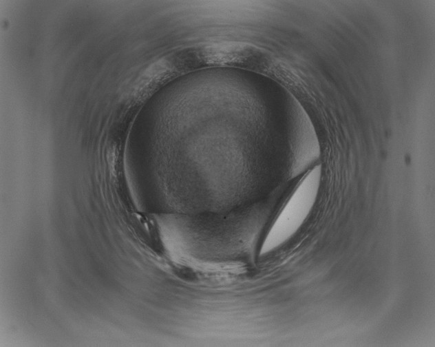 X0000067340219200604131734