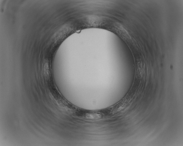 X0000067340220200604131734