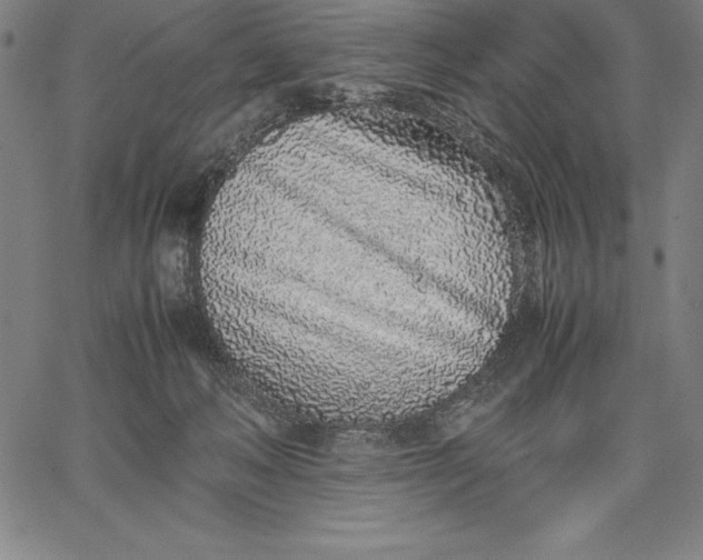 X0000067340222200604131734
