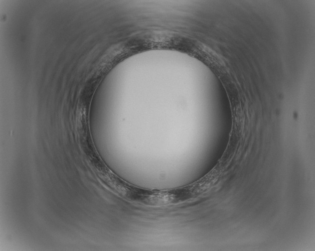 X0000067340225200604131734