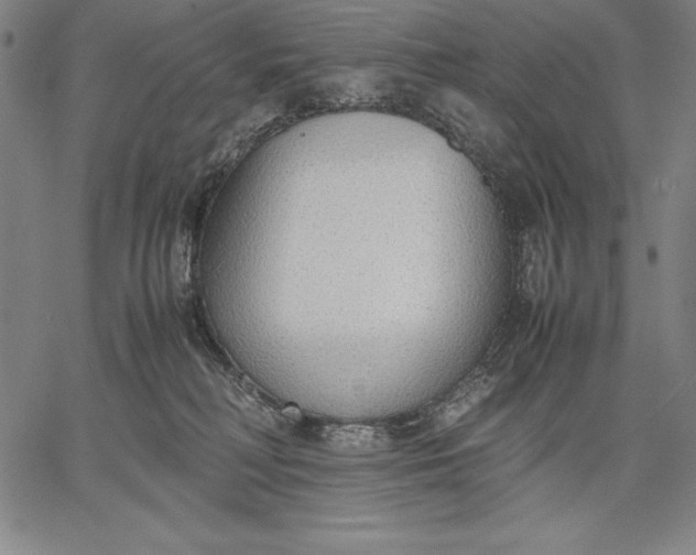 X0000067340230200604131733