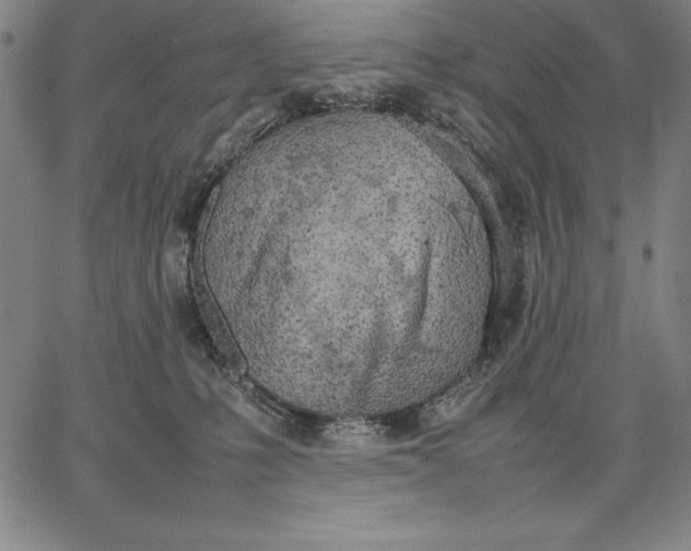 X0000067340231200604131733