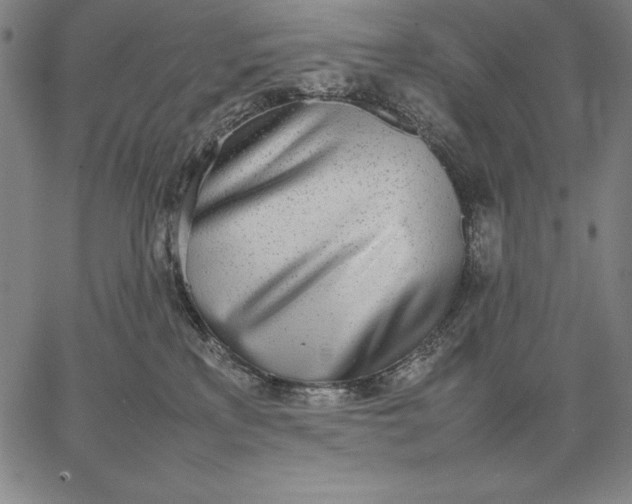 X0000067340233200604131733