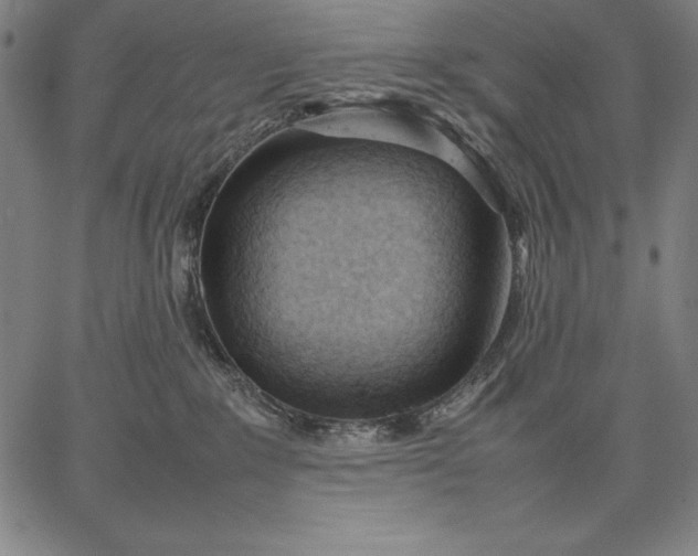 X0000067340235200604131733
