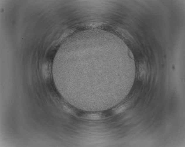 X0000067340236200604131733