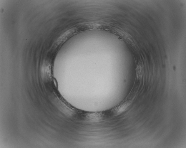 X0000067340238200604131733