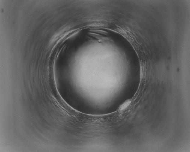 X0000067340243200604131733