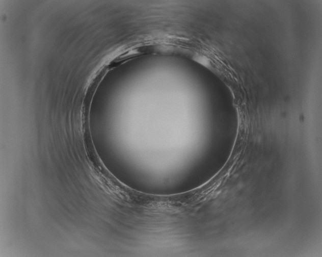 X0000067340244200604131733
