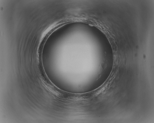 X0000067340246200604131733