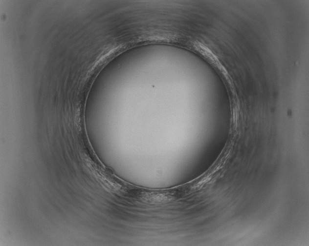 X0000067340249200604131733