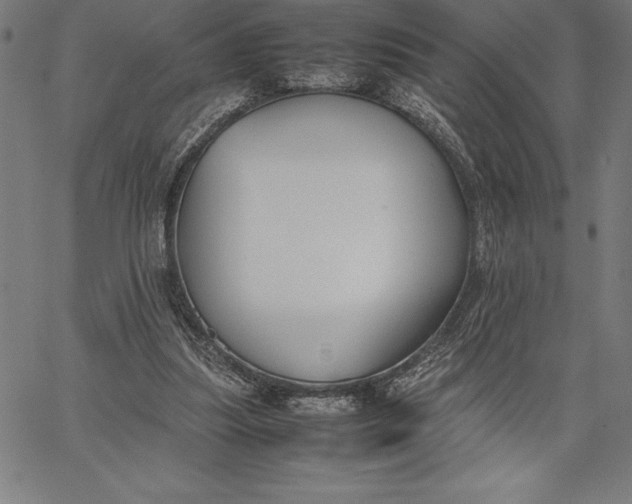 X0000067340251200604131733