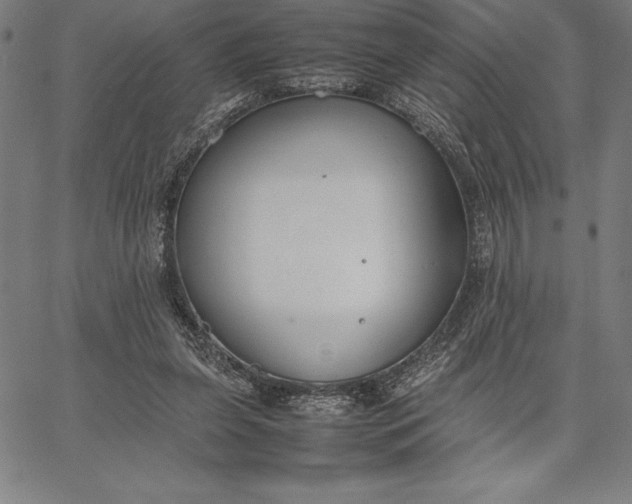 X0000067340255200604131733