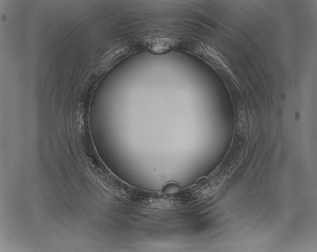 X0000067340259200604131733