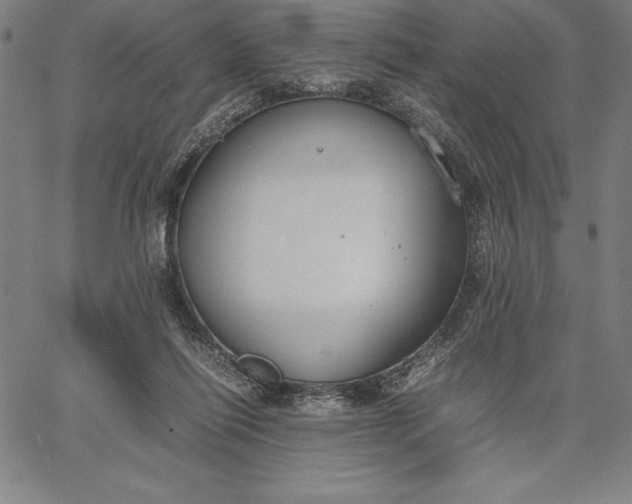 X0000067340262200604131733
