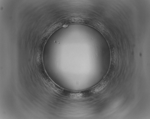 X0000067340266200604131733