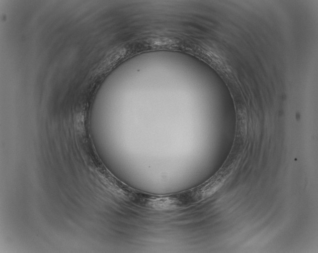 X0000067340269200604131733