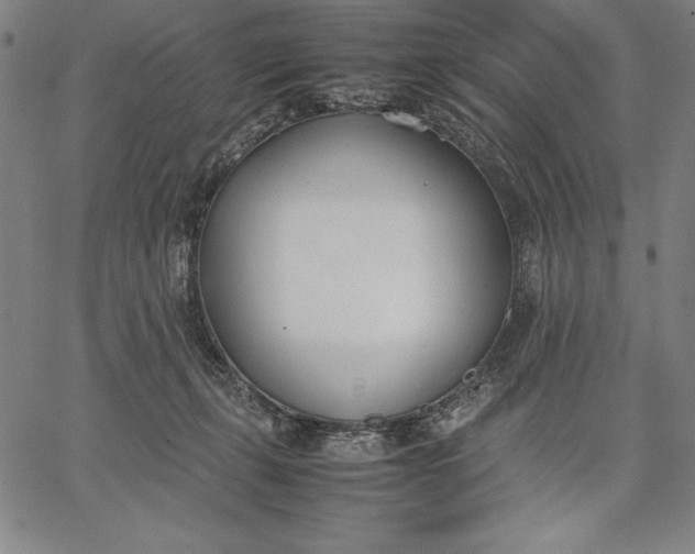 X0000067340271200604131733