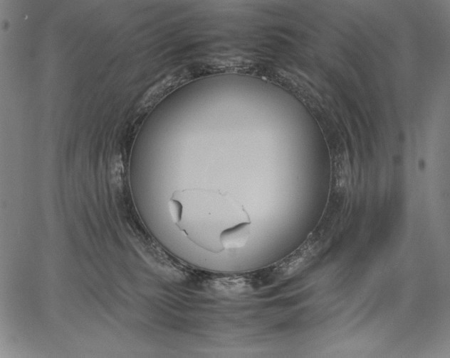 X0000067340279200604131733