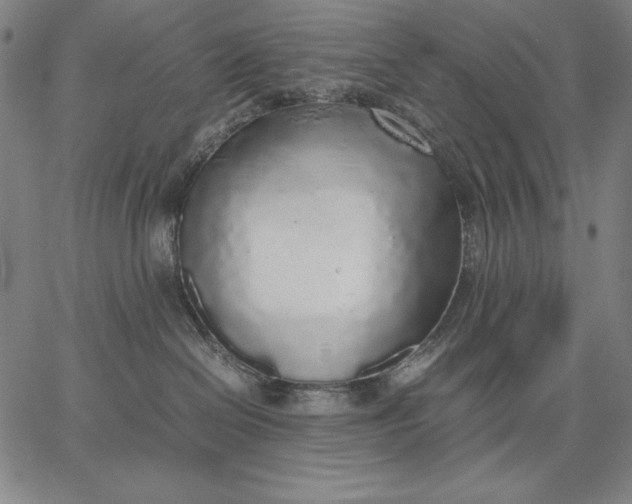 X0000067340286200604131733