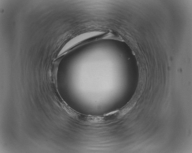 X0000067340288200604131733