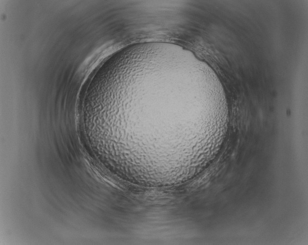 X0000067340290200604131732