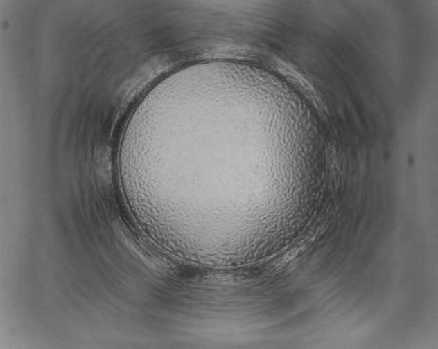 X0000067340298200604131732