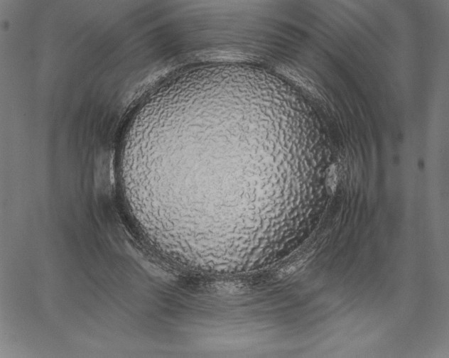 X0000067340302200604131732