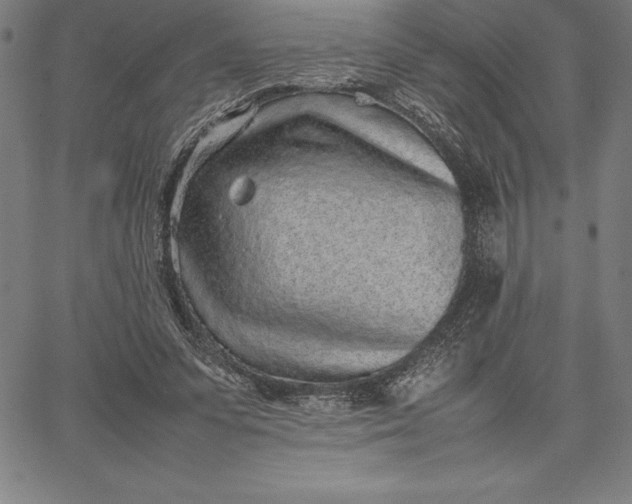 X0000067340303200604131732