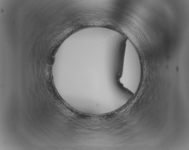 X0000067340305200604131732
