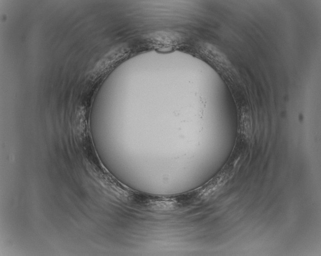 X0000067340318200604131732
