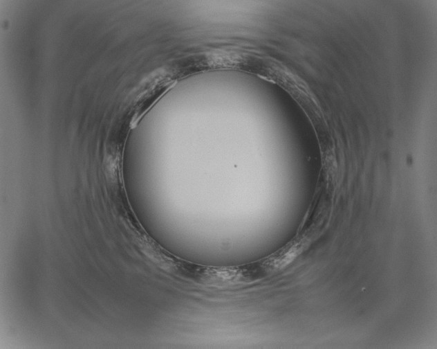 X0000067340329200604131732