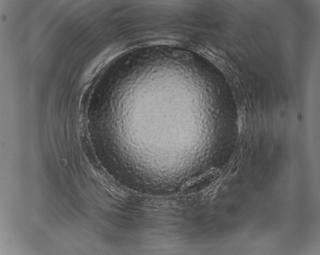 X0000067340339200604131731